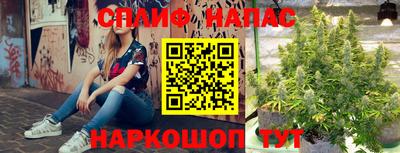 ALPHA-PVP Гай