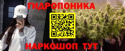 дмт Гусь-Хрустальный