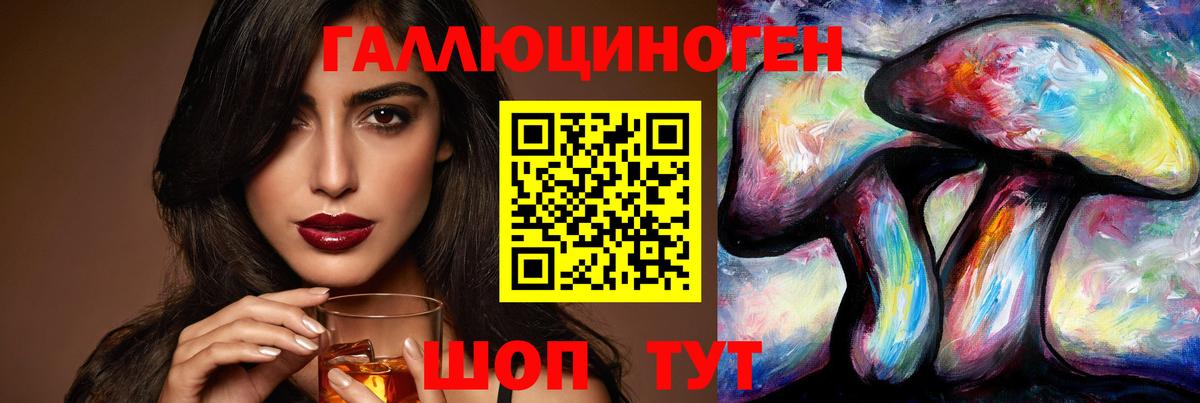 Галлюциногенные грибы Psilocybine cubensis Надым